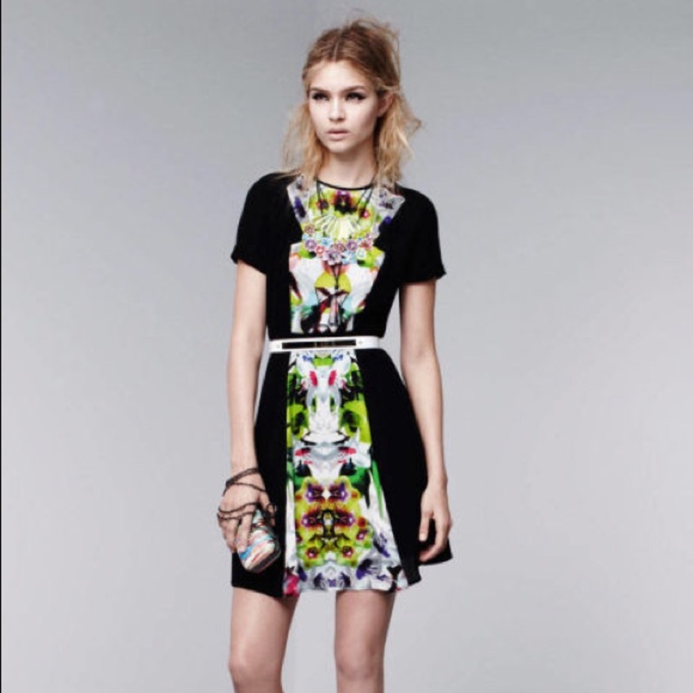 Prabal Gurung for Target panel dress w/ floral